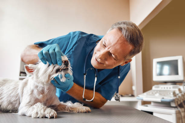 Best Broken Tooth Emergency  in Lakeport, TX